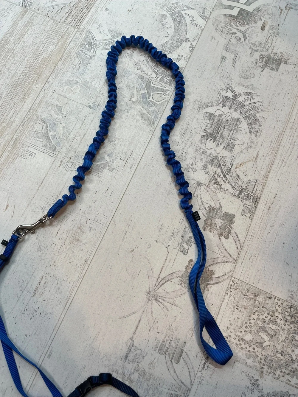 Petsafe Blue Cat Harness and Leash Size Large